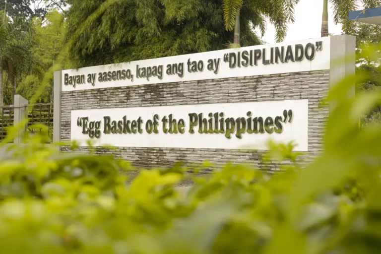 San Jose egg basket of the Philippines celebrates world egg day 2023