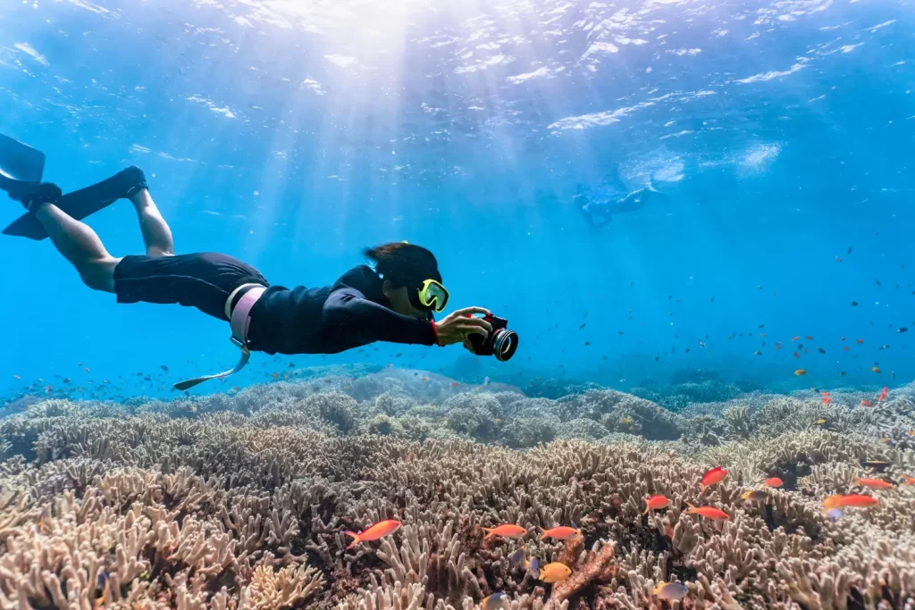 Underwater photography