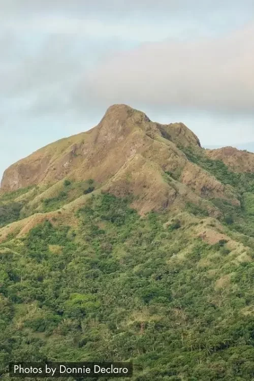 1 10 720x1078x0x0x720x1078x1694130672