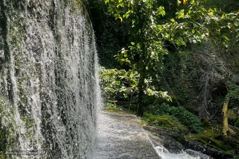 Malvar