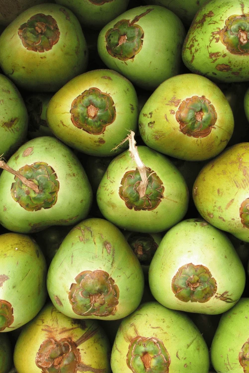 1 14 720x1078x0x0x720x1078x1694051018