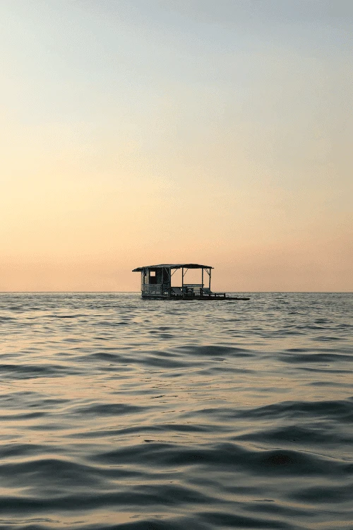 1 15 720x1078x0x0x720x1078x1694047986