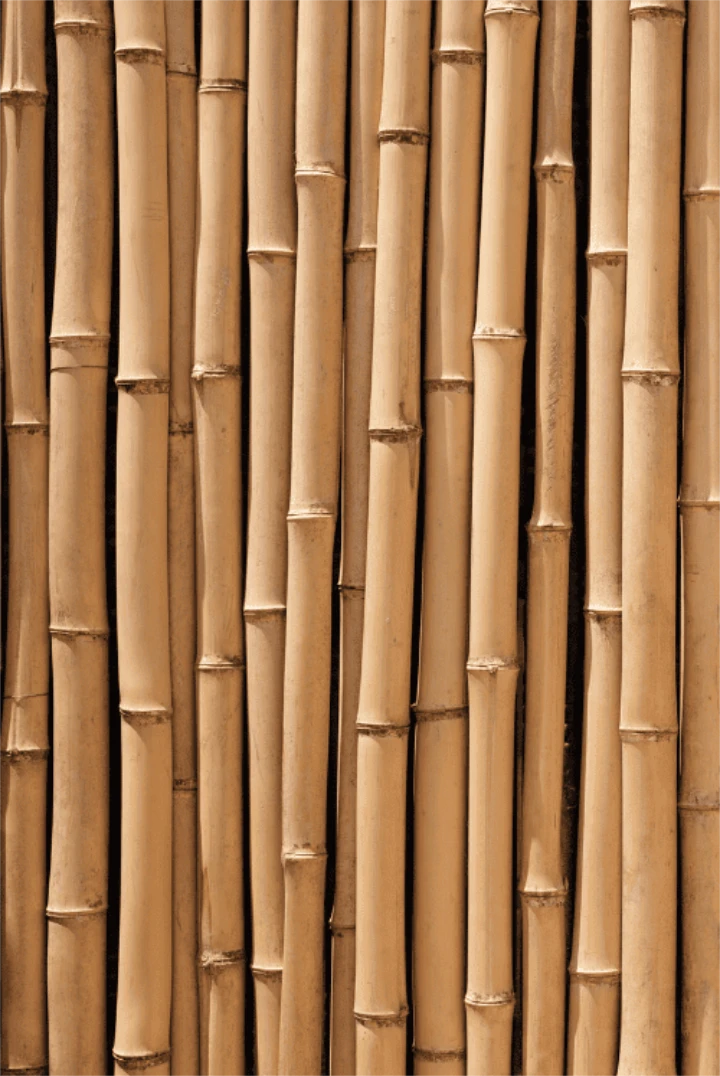 1 24 722x1082x0x4x722x1078x1694050518