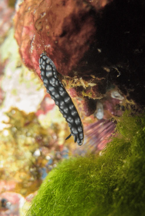 1 6 722x1082x0x4x722x1078x1694051698