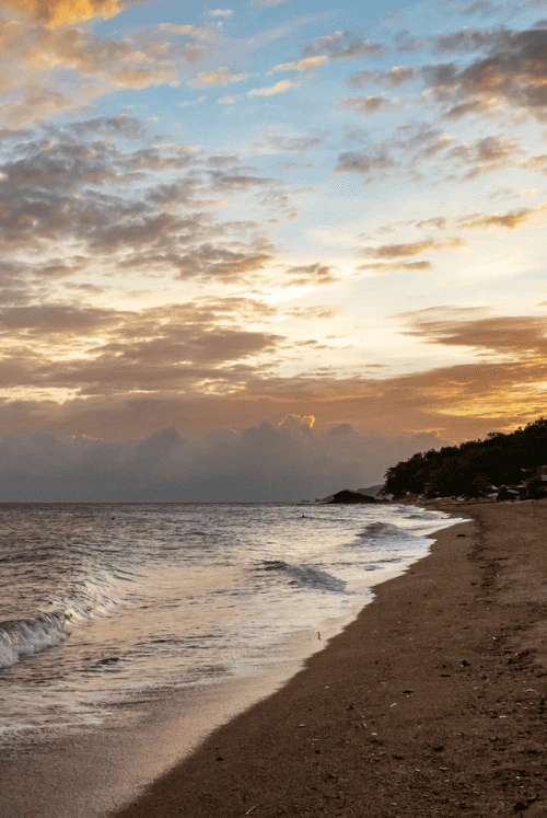 1 7 722x1082x0x4x722x1078x1694051604