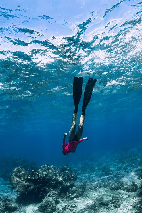 1 8 720x1078x0x0x720x1078x1694051272