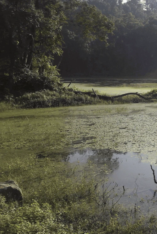 2 13 722x1082x0x4x722x1078x1694048108