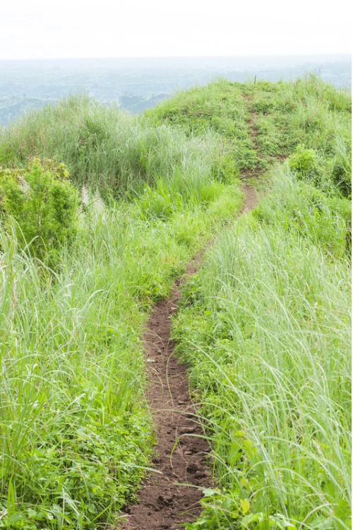 2 5 720x1078x0x0x720x1078x1694051706