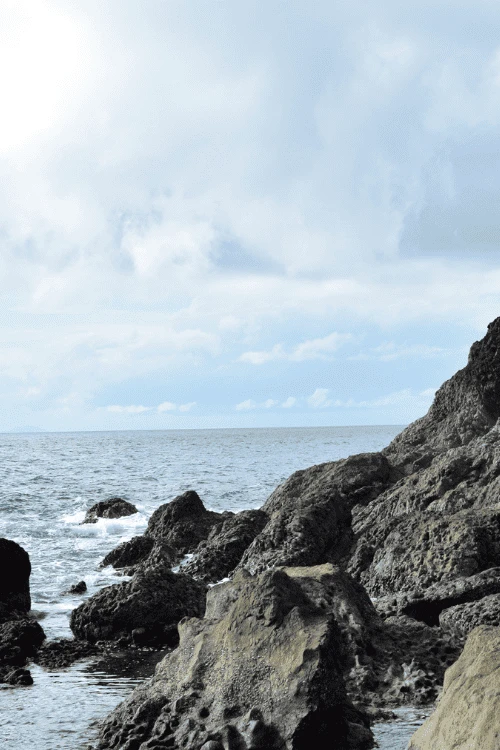 2 7 720x1078x0x0x720x1078x1694051596