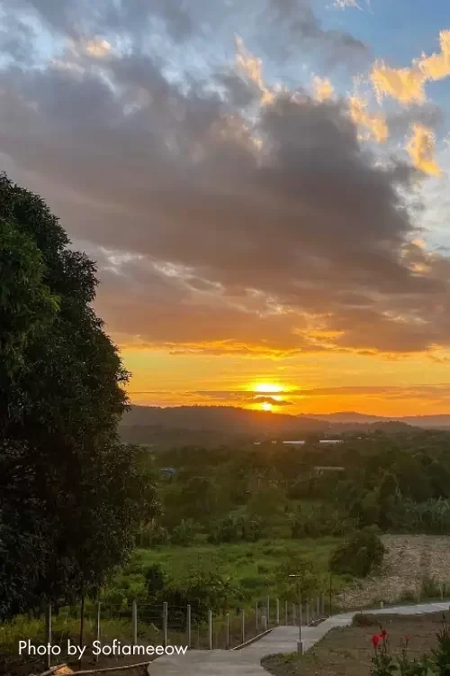 2 copy 6 720x1078x0x0x720x1078x1694140110