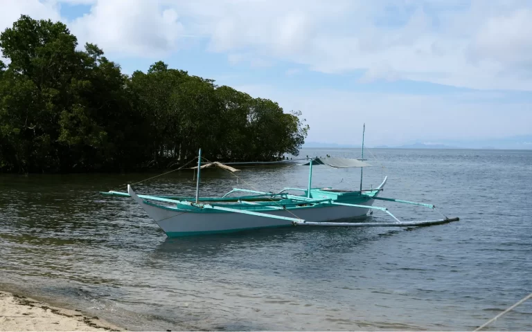 Laiya Beach
