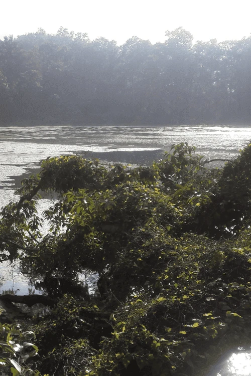 3 10 720x1078x0x0x720x1078x1694048084