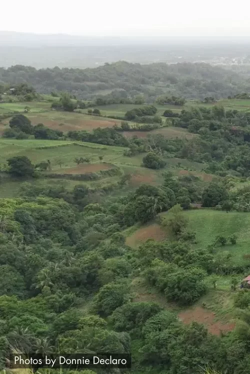 3 10 722x1082x0x4x722x1078x1694130668