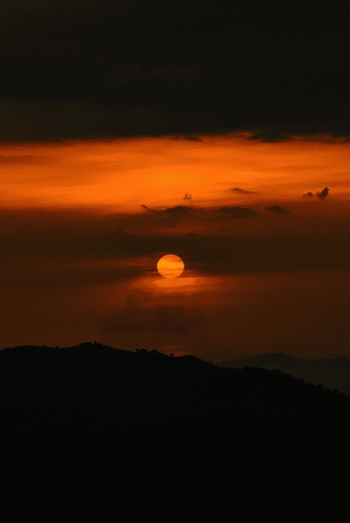 3 11 722x1082x0x4x722x1078x1694051704