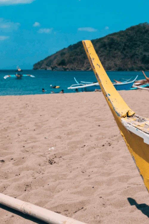 3 12 720x1078x0x0x720x1078x1694047982