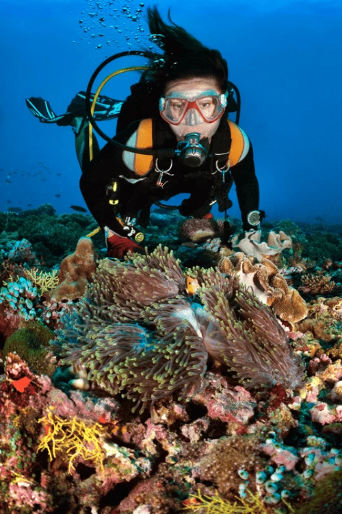 3 3 720x1078x0x0x720x1078x1694052004