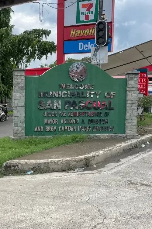 311 5 720x1078x0x0x720x1078x1697705856