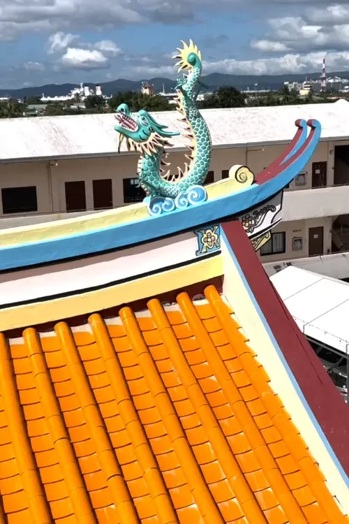 319 1 720x1078x0x0x720x1078x1701237546