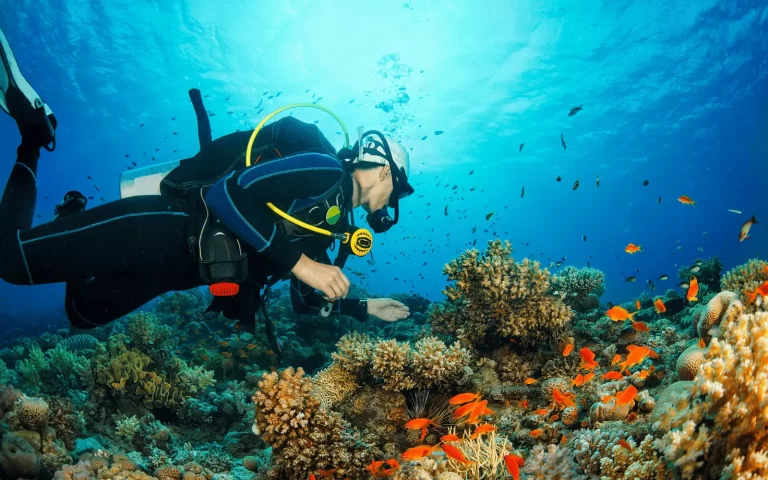 Scuba Diving