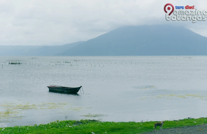 516746849 718132104545937 601858451409773227 n