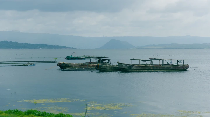 517362481 718132064545941 882684286503634959 n