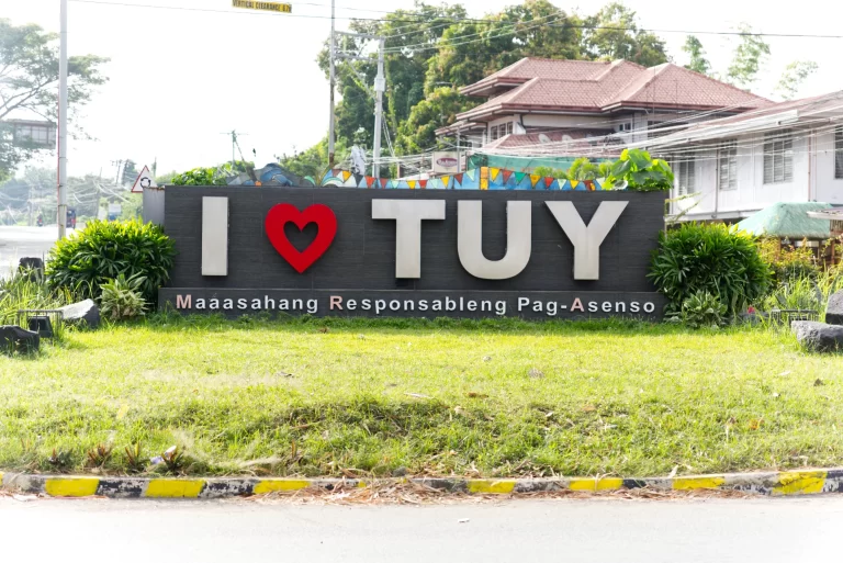 Tuy