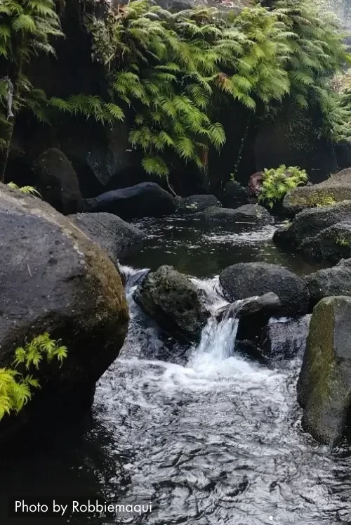 Calaca 722x1082x0x4x722x1078x1694140358