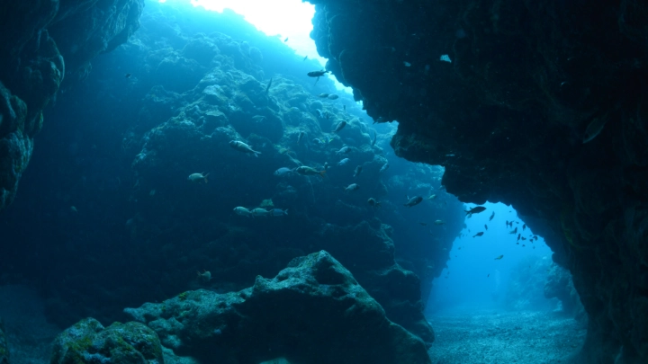 Underwaterphotography3