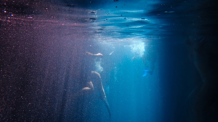 Underwaterphotography5