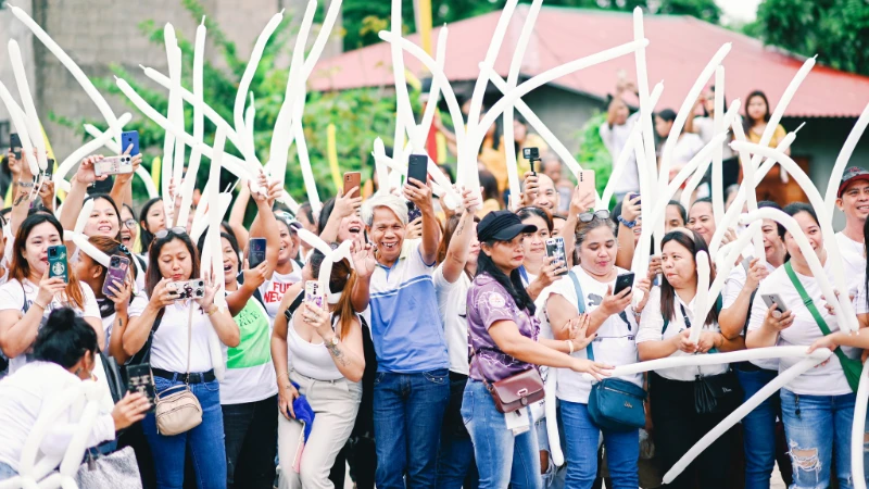 401847524 895498439049444 8437933792234559414 n