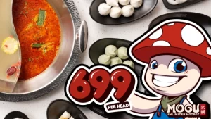 469071227 495597150305603 4957876007309582011 n