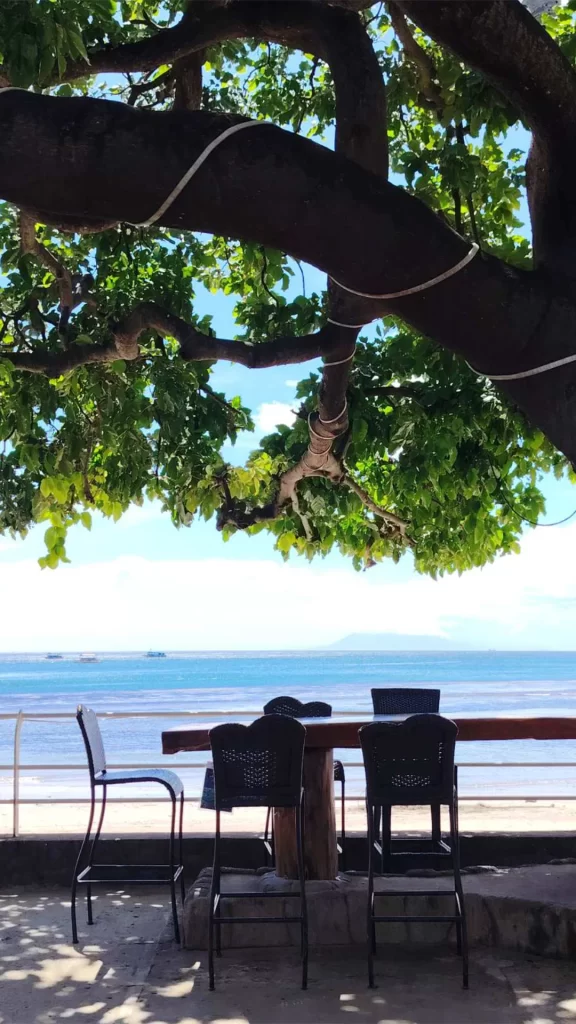 Viber image 2026 01 16 16 14 19