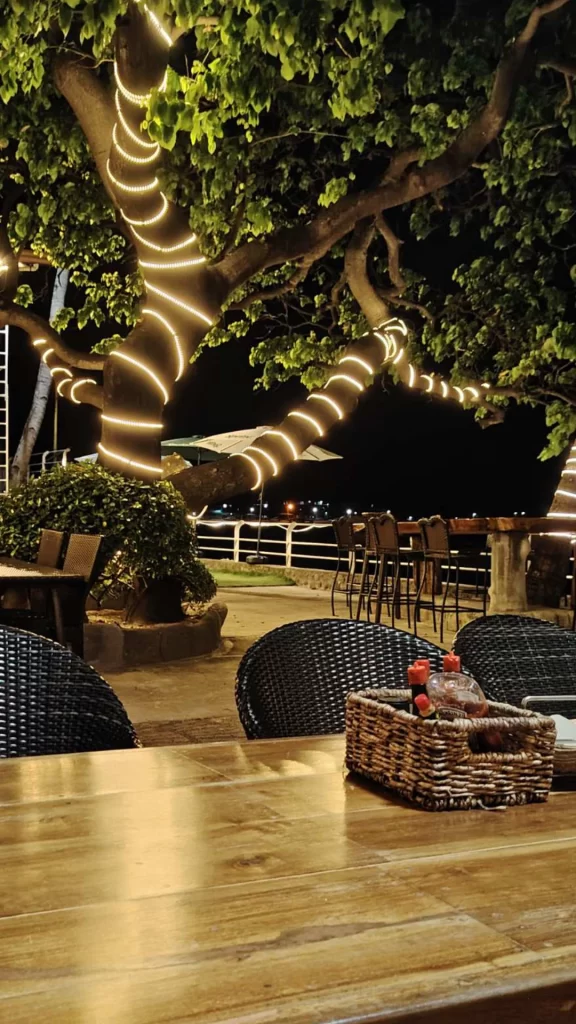 Viber image 2026 01 16 16 16 27