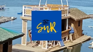 Snr